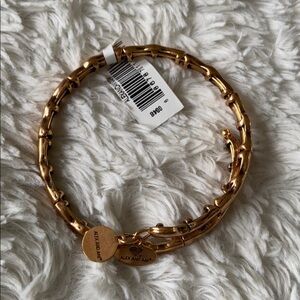 Alex and Ani water metal wrap bracelet
